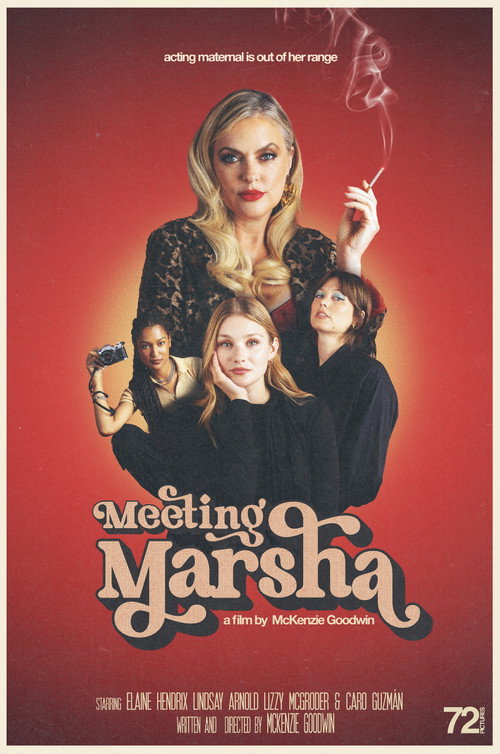 Movie poster for Meeting Marsha