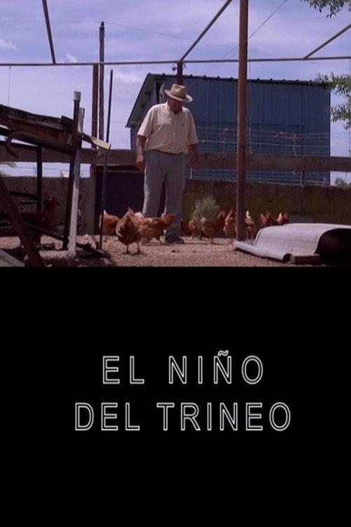 Movie poster for El niño del trineo (2011)