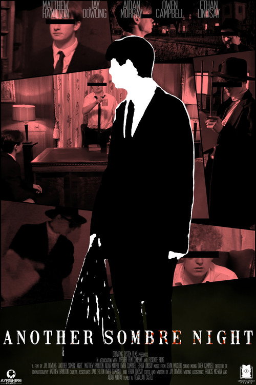 Movie poster for Another Sombre Night (2024)