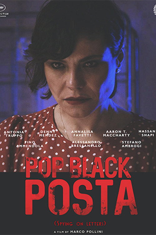 Movie poster for Spying on letter (2019)