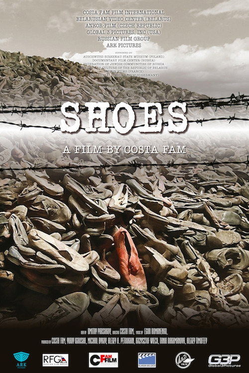 Movie poster for Shoes (2013)