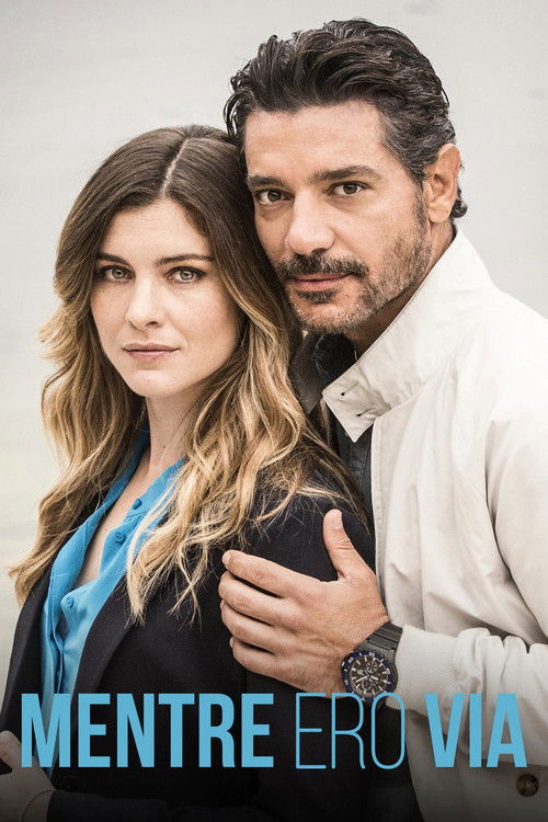 While I Was Away poster