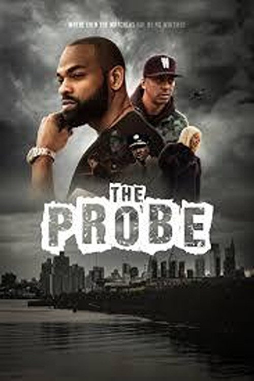 Movie poster for The Probe (2024)