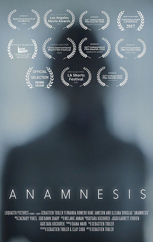 Movie poster for Anamnesis (2016)