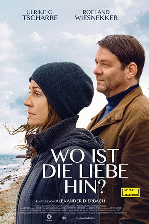 Movie poster for Wo ist die Liebe hin? (2020)