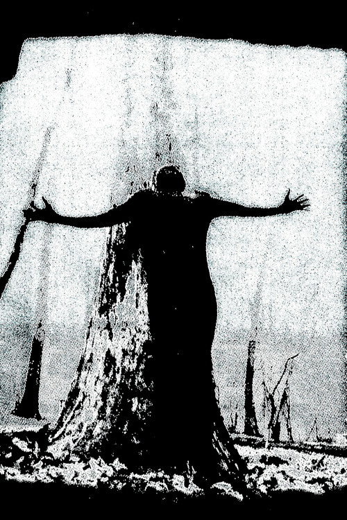 Movie poster for IIsandra In Ruin (2025)
