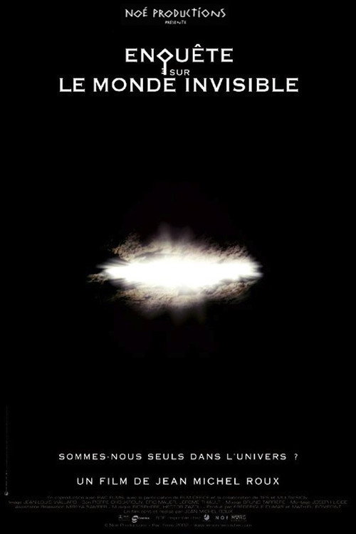 Movie poster for Investigation Into the Invisible World (2002)