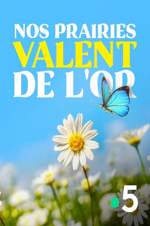 Movie poster for Nos prairies valent de l'or (2020)