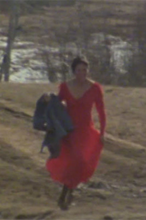Movie poster for The Red Dress (1978)