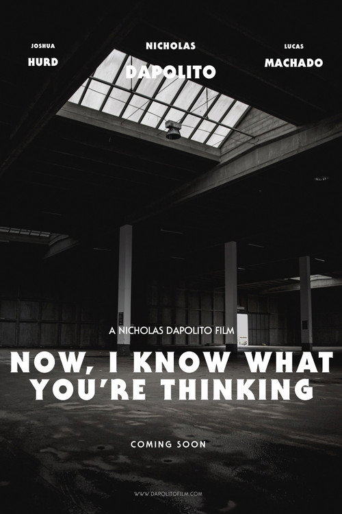 Movie poster for Now, I Know What You’re Thinking