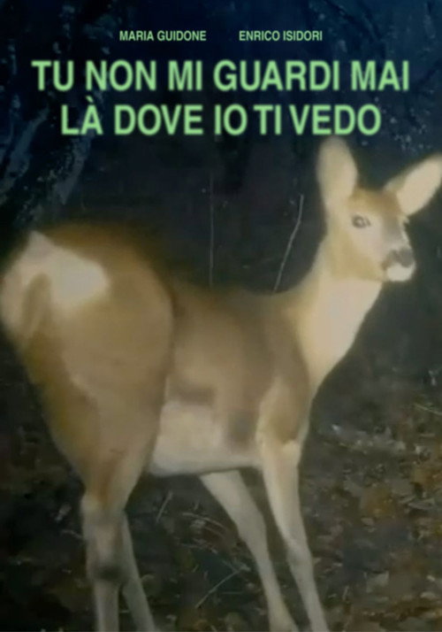 Movie poster for TU NON GUARDI MAI LÀ DOVE IO TI VEDO (2025)