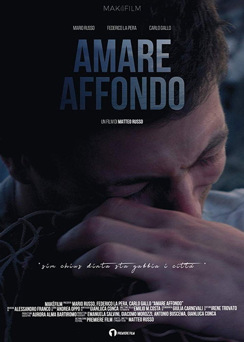Movie poster for Amare Affondo (2019)