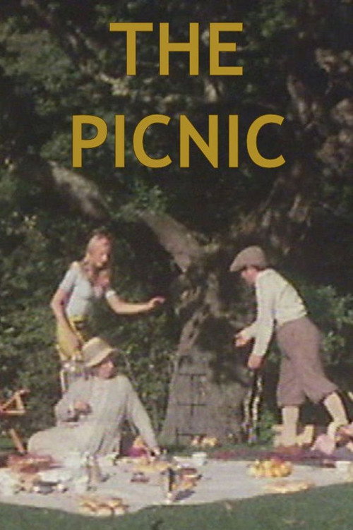 Movie poster for The Picnic (1976)