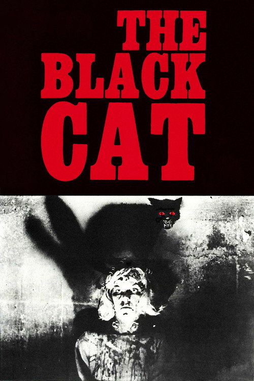 Movie poster for The Black Cat (1966)