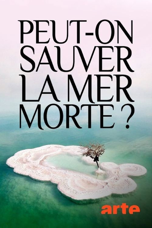 Movie poster for Peut-on sauver la mer Morte ? (2019)