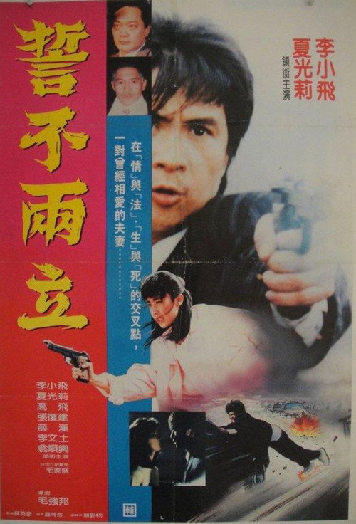 Movie poster for Duel of Death (1989)