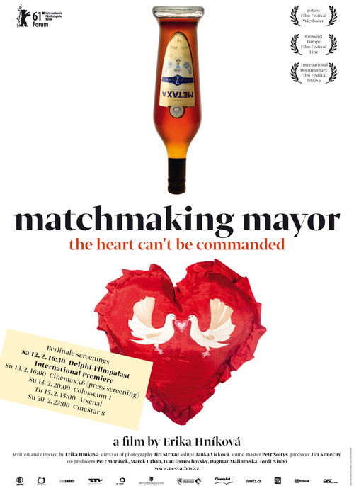 Movie poster for Matchmaking Mayor (2010)