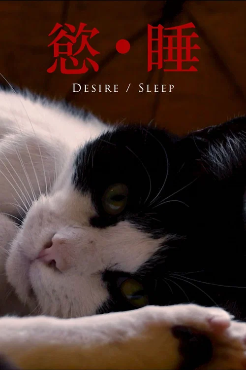 Movie poster for Desire/Sleep (2026)