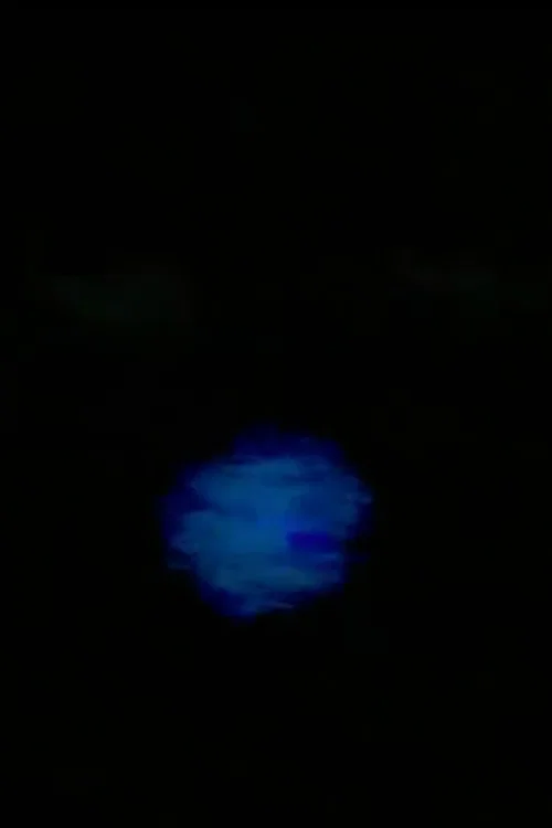 Movie poster for FUCK MERZBOW (2023)