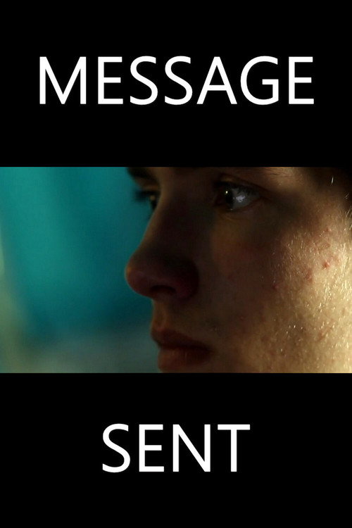 Movie poster for Message Sent (2013)