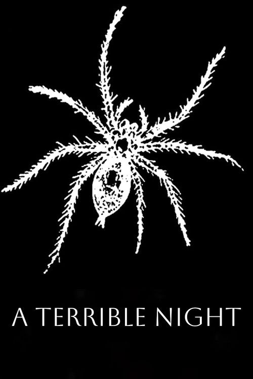 Movie poster for A Terrible Night (1896)