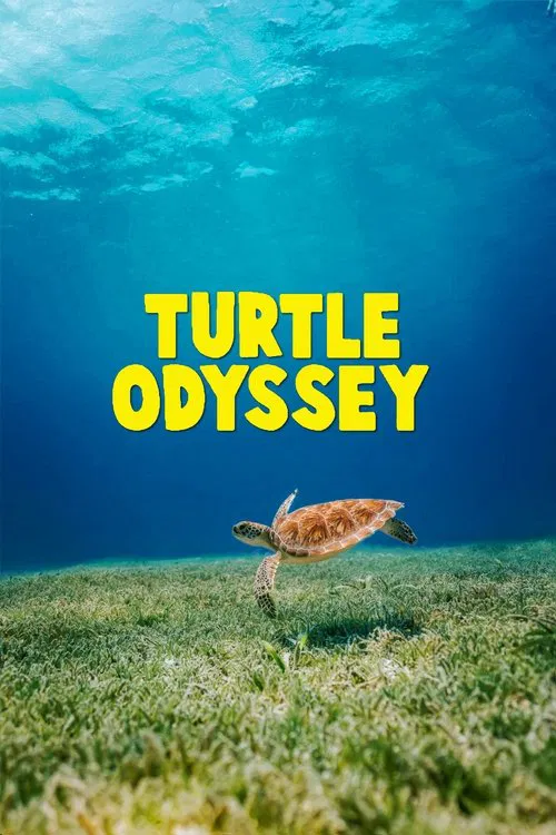 Movie poster for Turtle Odyssey (2018)