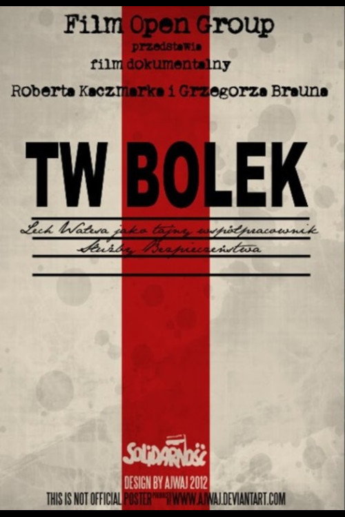 Movie poster for TW "Bolek" (2008)