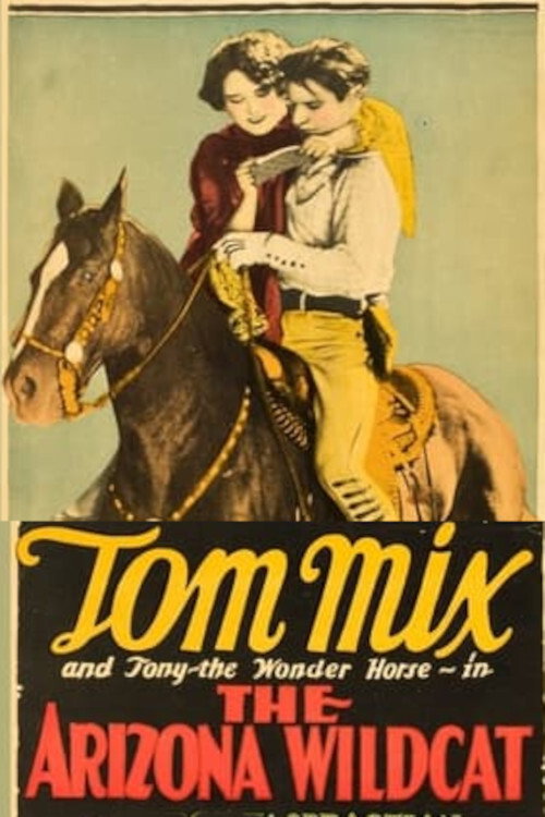 Movie poster for The Arizona Wildcat (1927)