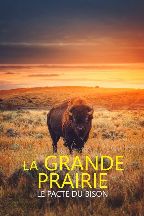 Movie poster for La grande prairie, le pacte du bison (2025)