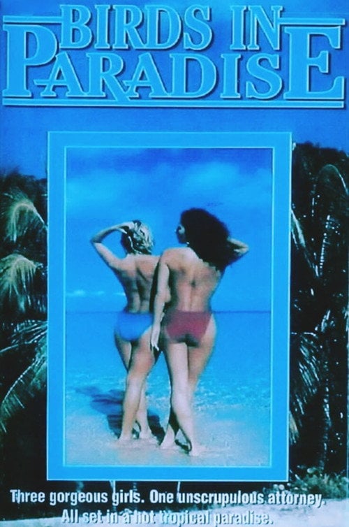 Movie poster for Soft Touch II (1987)