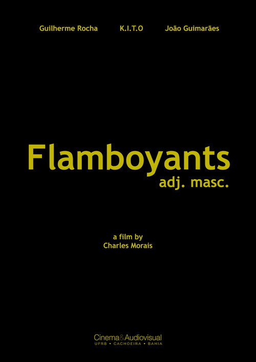 Movie poster for Flamboyants (2021)