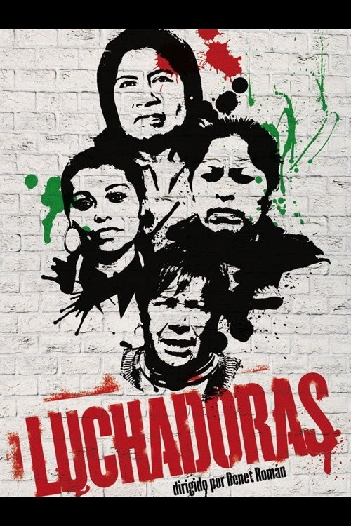 Movie poster for Fighters (2009)