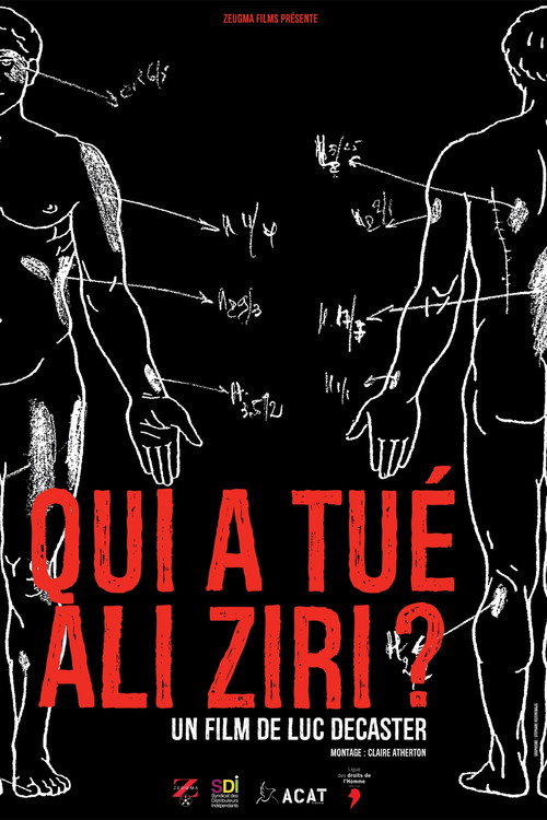 Movie poster for Who killed Ali Ziri ? (2015)