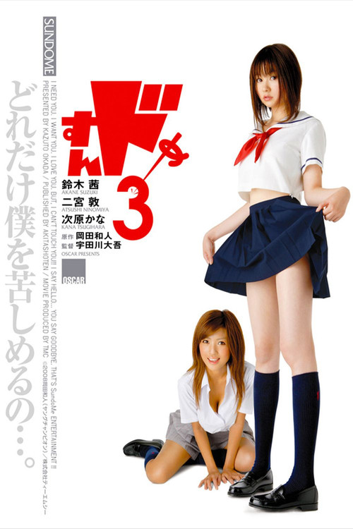 Movie poster for Sundome 3 (2008)