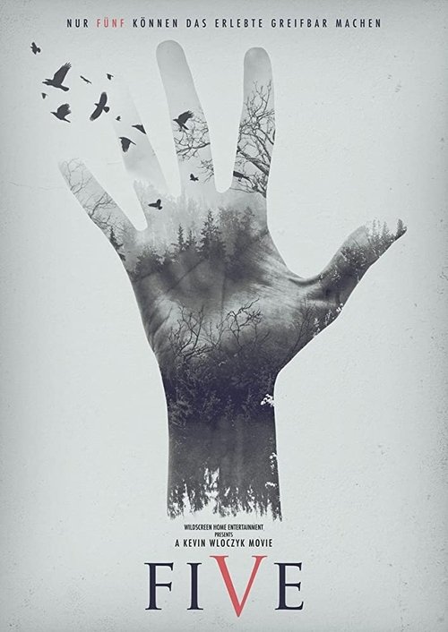 Movie poster for Five: Find Your Limit (2016)