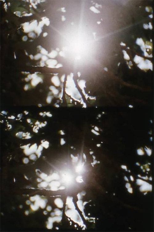 Movie poster for Pastorale d'été (1958)