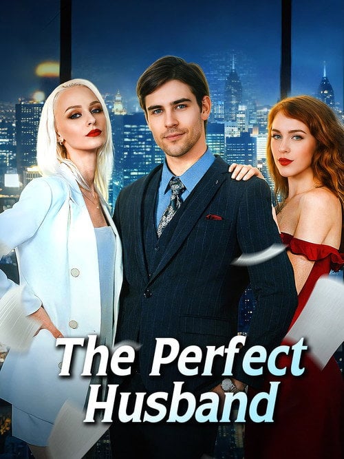 Series poster for The perfect Husband