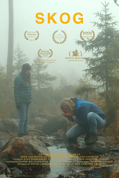 Movie poster for Forest (2020)
