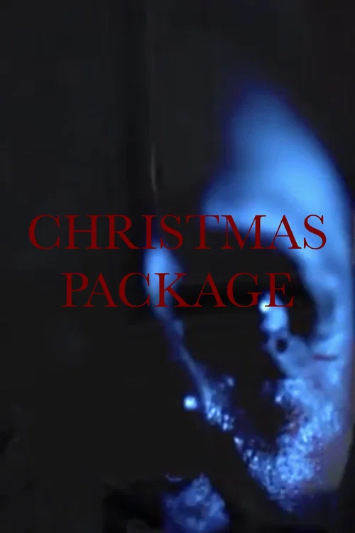 Movie poster for Christmas Package