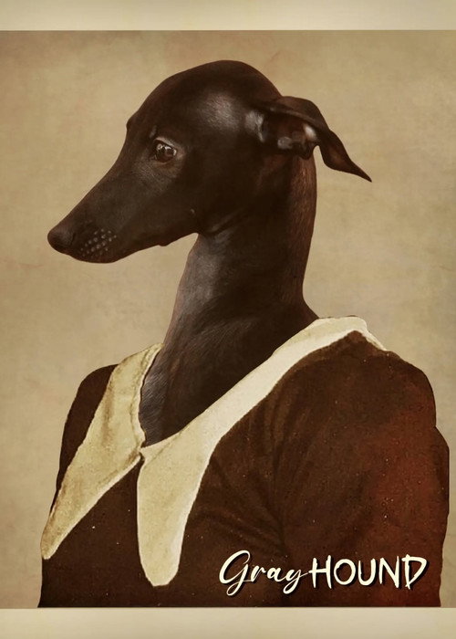 Movie poster for Gray Hound (2026)