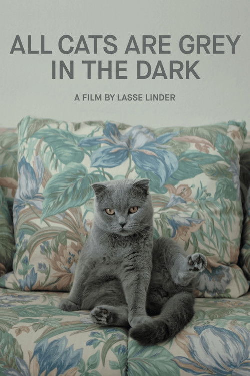 Movie poster for All Cats Are Grey in the Dark (2019)