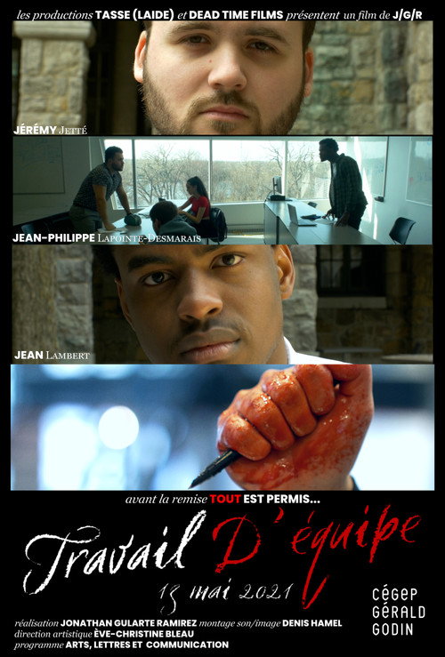 Movie poster for Teamwork