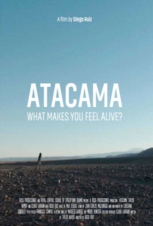 Movie poster for Atacama (2018)