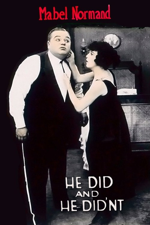 Movie poster for He Did and He Didn’t (1916)