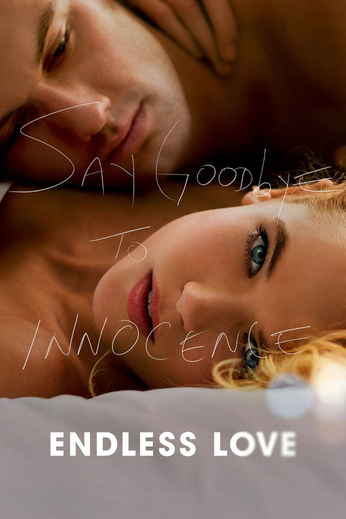 Movie poster for Endless Love (2014)