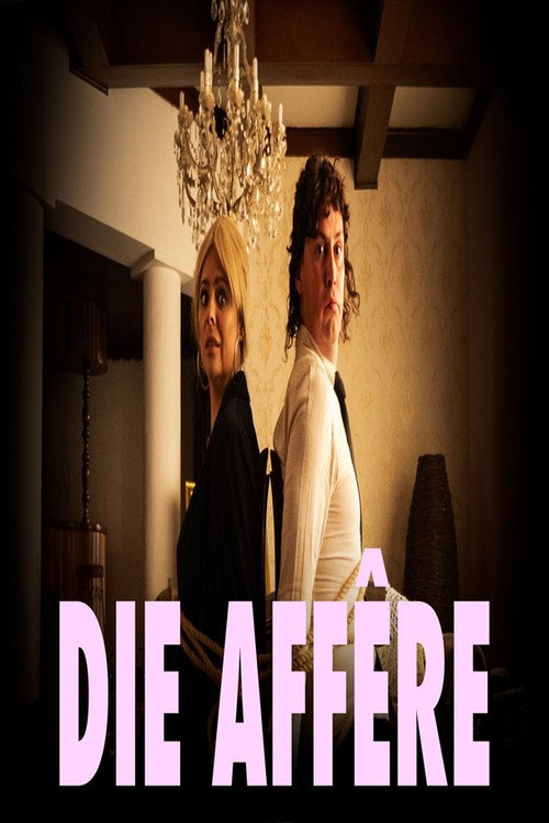 Movie poster for The Affair (2025)