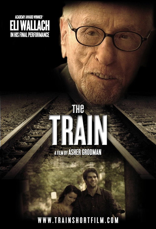 Movie poster for The Train (2015)