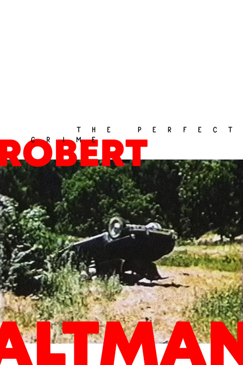 Movie poster for The Perfect Crime (1955)