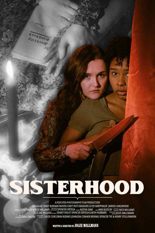 Movie poster for Sisterhood (2025)