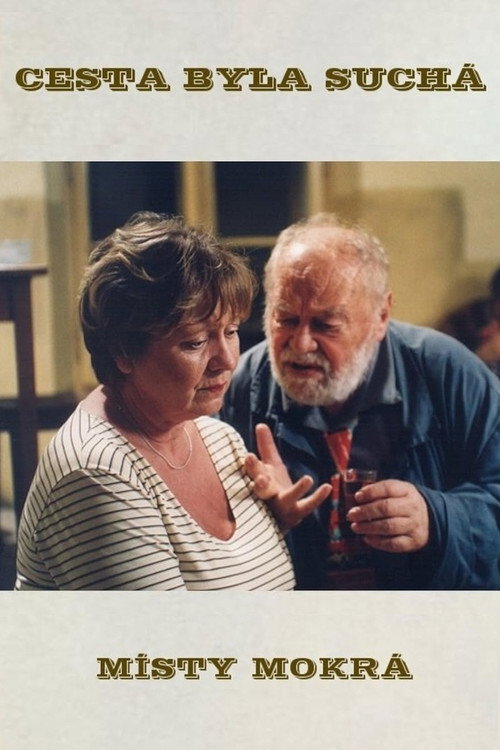 Movie poster for Cesta byla suchá, místy mokrá (2003)